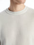 LC Waikiki Crew Neck Long Sleeve Men's Tricot Sweater